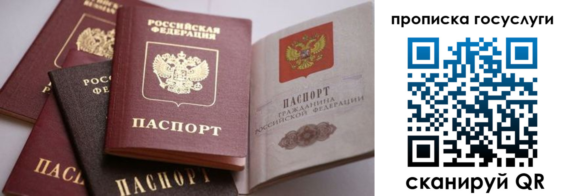 прописка иностранных граждан в Венёве